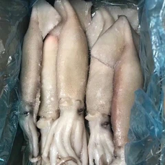Замороженный кальмар
